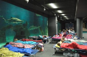 Bambini che partecipano all'iniziativa premio dell'acquario di Genova, "la notte degli squali"